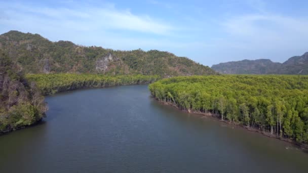Selva Mangue Rio Colinas Ilha Malásia Voar Drone Reverso Imagens — Vídeo de Stock