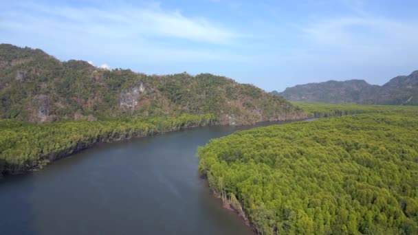 ジャングルマングローブ川は 島マレーシアを丘 フライリバースドローン 高品質の4K映像 — ストック動画