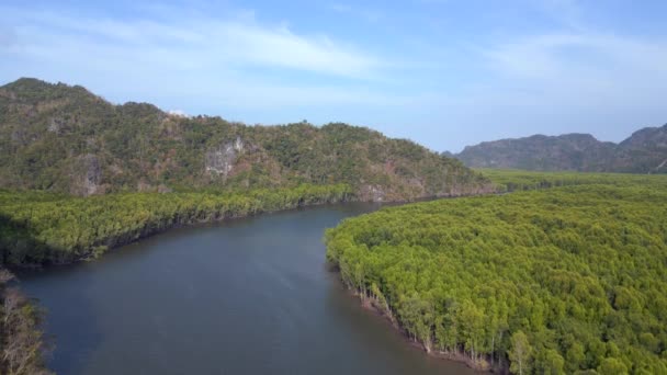 Мангровые Джунгли Речных Холмов Острова Малайзия Панорамный Обзор Беспилотника Высококачественные — стоковое видео