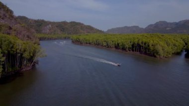 orman mangrovu nehir tepeleri adası Malezya. Üstten kumandalı hava aracı. Yüksek kalite 4k görüntü