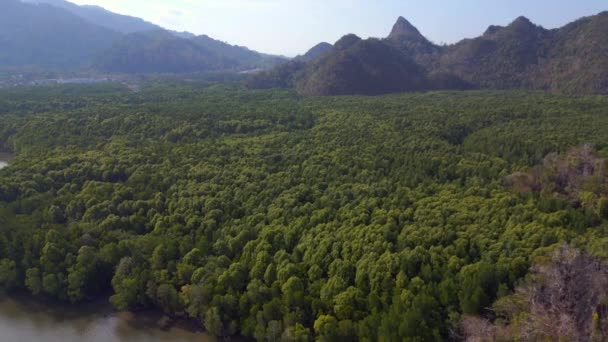Jungle Mangrove Rivier Heuvels Eiland Malaysia Vlieg Achteruit Drone Hoge — Stockvideo