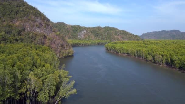 ジャングルマングローブ川は 島マレーシアを丘 ドローン降下 高品質の4K映像 — ストック動画