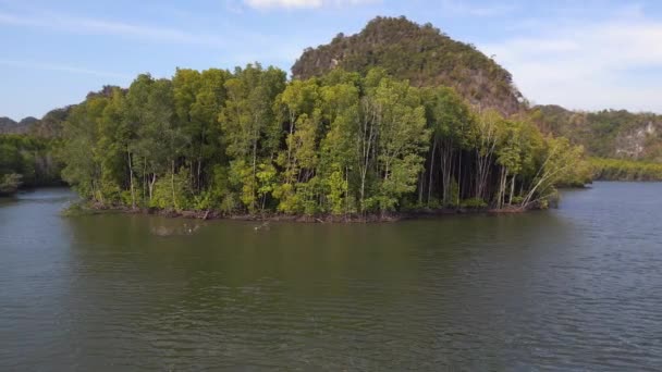 ジャングルマングローブ川は 島マレーシアを丘 人形はドローンを残した 高品質の4K映像 — ストック動画