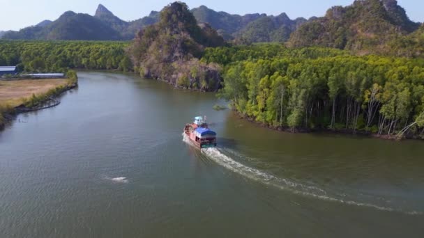 Namorzyn Dżungli Wzgórza Rzeczne Wyspa Malezja Nad Dronem Przelotowym Wysokiej — Wideo stockowe
