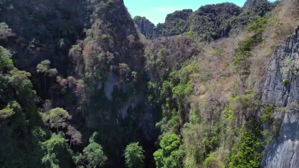 Pierwotne Wzgórza Dżungli Wyspa Phi Phi Wyspa Odwrócony Dron Wysokiej — Wideo stockowe