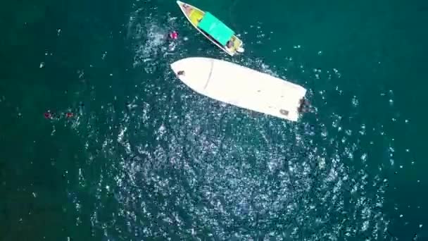 Tubarões São Alimentados Barco Enquanto Mergulham Com Snorkel Drone Cima — Vídeo de Stock