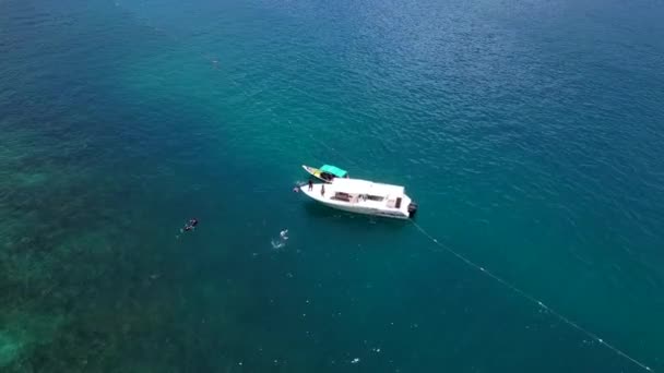 Haie Werden Beim Schnorcheln Vom Boot Aus Gefüttert Drohne Schoss — Stockvideo