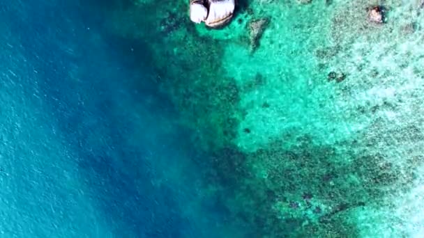 Tiburón Arrecife Aleta Negra Mar Azul Turquesa Cámara Drones Apuntando — Vídeo de stock