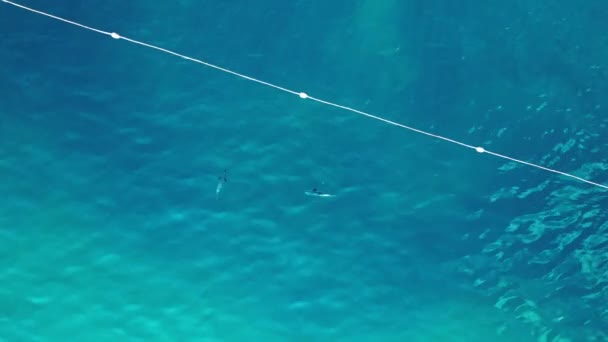 Czarna Płetwa Rekina Rafowego Niebieskim Turkusowym Morzu Nagranie Drona Góry — Wideo stockowe