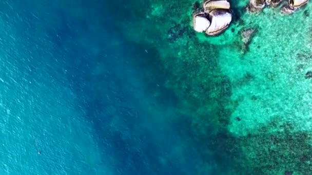 Czarna Płetwa Rekina Rafowego Niebieskim Turkusowym Morzu Dron Góry Nad — Wideo stockowe