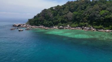 Keşfedilmemiş plaj ağaçları pürüzsüz kayalar. İHA iniyor. Yüksek kalite 4k görüntü