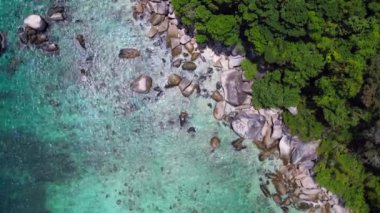 Keşfedilmemiş plaj ağaçları pürüzsüz kayalar. Hız rampası hiperlapse hareket hızı zaman aşımı. Yüksek kalite 4k görüntü