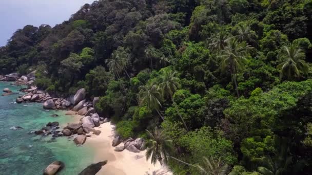Batu Halus Pohon Palem Pantai Yang Belum Ditemukan Cepat Jalan — Stok Video