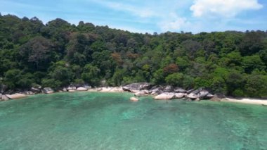 Keşfedilmemiş plaj ağaçları pürüzsüz kayalar. Panorama insansız hava aracı. Yüksek kalite 4k görüntü