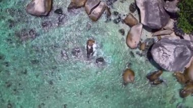 Keşfedilmemiş plaj ağaçları pürüzsüz kayalar. Yukarıdan insansız hava aracı görüntüleri. Yüksek kalite 4k görüntü