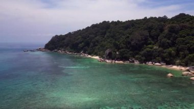 Keşfedilmemiş plaj ağaçları pürüzsüz kayalar. Geri geri uçun. Yüksek kalite 4k görüntü