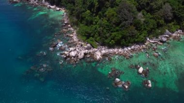 Keşfedilmemiş plaj ağaçları pürüzsüz kayalar. Panorama yörünge dronu. Yüksek kalite 4k görüntü