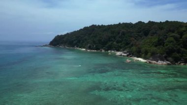 Keşfedilmemiş plaj ağaçları pürüzsüz kayalar. Panorama insansız hava aracı. Yüksek kalite 4k görüntü