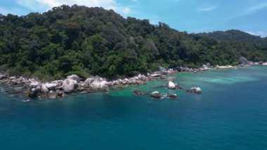 Keşfedilmemiş plaj ağaçları pürüzsüz kayalar. Panorama insansız hava aracı. Yüksek kalite 4k görüntü