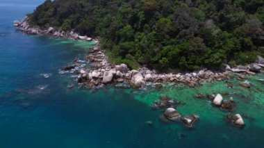Keşfedilmemiş plaj ağaçları pürüzsüz kayalar. İHA 'lar yukarıdan aşağıya bakıyor. Yüksek kalite 4k görüntü
