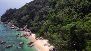 Keşfedilmemiş plaj ağaçları pürüzsüz kayalar. Üstten kumandalı hava aracı. Yüksek kalite 4k görüntü