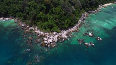 Keşfedilmemiş plaj ağaçları pürüzsüz kayalar. Yukarıdan insansız hava aracı görüntüleri. Yüksek kalite 4k görüntü