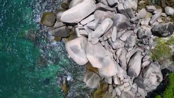 Palmeras Playa Sin Descubrir Rocas Lisas Vertical Birds Eye View — Vídeos de Stock