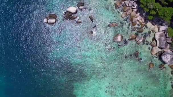 Palmeiras Praia Não Descobertas Rochas Lisas Câmera Drone Apontando Para — Vídeo de Stock