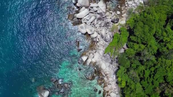 Невідомі Пляжні Пальми Гладкі Скелі Дрон Зверху Вниз Зверху Зверху — стокове відео