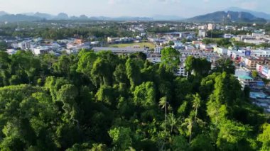 Arka planda tropikal manzarası olan sakin bir Tayland tapınağı üzerinde sol drone çekimine dönüş