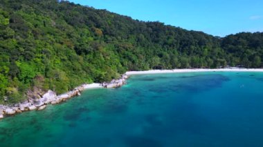 Panorama genel görüntüsü sakin, kumlu bir sahil, yemyeşil bir orman ve berrak mavi sular.