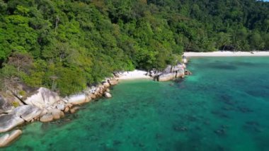 Hız rampası Hiperlapse zaman atlamalı huzurlu, kumlu bir sahilin yemyeşil bir ormanın ve berrak mavi suların görüntüsü.