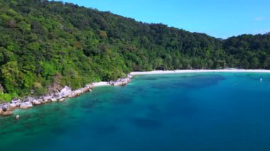 Hız rampası Hiperlapse zaman atlamalı huzurlu, kumlu bir sahilin yemyeşil bir ormanın ve berrak mavi suların görüntüsü.