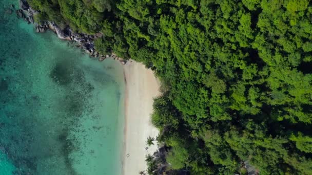 ドローンは 緑豊かな森と澄んだ青い水のそばに 穏やかな砂浜の撮影から撮影した映像を撮影しました — ストック動画