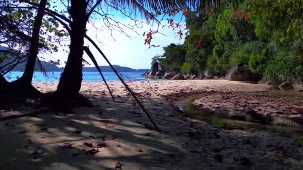 Speed Ramp Hyperlapse Motionlapse Timelapse Shot Serene Sandy Beach Lush — Stok Video