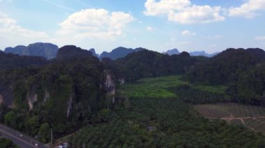 Soldaki hava aracına döndür. Dönek bir yolun hava görüntüsü. Arka planda karst dağları olan yemyeşil bir palmiye plantasyonunu kesiyor.