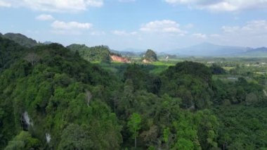 Panorama Genel Bakış Uçağı Uçurumsal Görünüm bir viraj yolu verimli palmiye plantasyonunu keserek arka planda Karst dağları ile