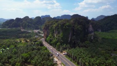 Arkasında karst dağları olan yemyeşil palmiye plantasyonunu kesen dolambaçlı bir yolun hava aracı görüntüsü yükseliyor.