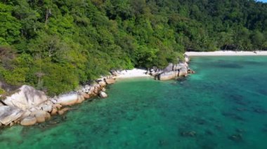 Sakin, kumlu bir sahilin insansız hava aracı görüntüsünü çekin. Berrak bir orman ve berrak mavi suların yanında.