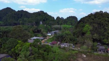 Uçan bir hava aracının üzerinde. Dönek bir yolun havadan görünüşü. Arka planda Karst Dağları ile dolu, yemyeşil bir palmiye plantasyonunu kesiyor.