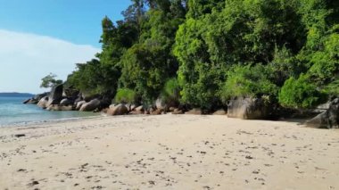 Panorama yörüngesinde sakin, kumlu bir plajın, yemyeşil bir orman ve berrak mavi suların drone görüntüsü.