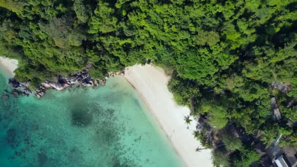 Pionowe Ptaki Widok Oko Drone Strzał Spokojnej Piaszczystej Plaży Wzdłuż — Wideo stockowe