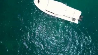 Köpekbalıkları şnorkelle yüzerken tekneden beslenirler. dikey kuşların görüş dronu. Yüksek kalite 4k görüntü