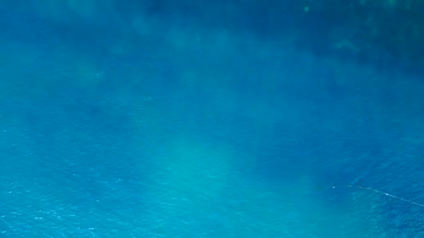 ปลาฉลามปะการ งคร าในทะเลเทอร ควอยส าเง มมองด านบนของโดรน ภาพ ณภาพส — วีดีโอสต็อก
