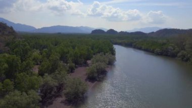 İniş yapan insansız hava aracı Yeşil ağaçlara ve parçalı bulutlu gökyüzüne karşı sakin bir göl sergiliyor