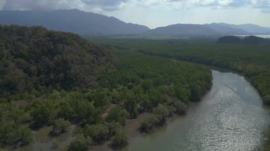 Sol insansız hava aracına dönüş Yeşil ağaçlara ve parçalı bulutlu gökyüzüne karşı sakin bir göl manzarası