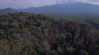 Uçan dron yeşil ağaçlara ve parçalı bulutlu gökyüzüne karşı sakin bir göl manzarası