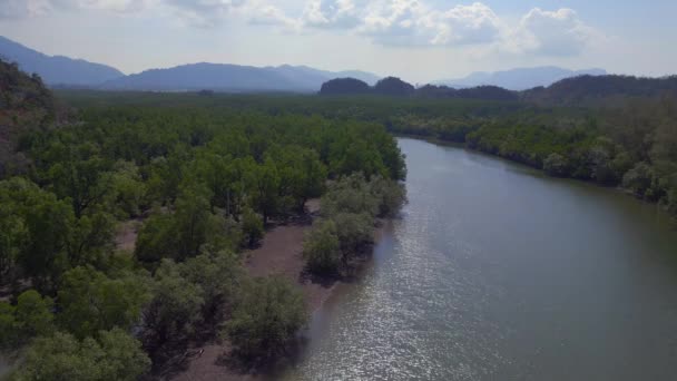Tilt Drone Paisagem Tranquila Mostrando Lago Calmo Contra Árvores Verdes — Vídeo de Stock