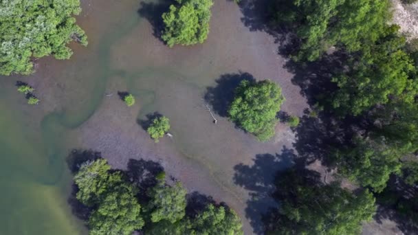 从Tranquil风景上方拍摄的无人驾驶飞机镜头 在绿树成荫的湖面和部分多云的天空中展现平静的湖景 — 图库视频影像