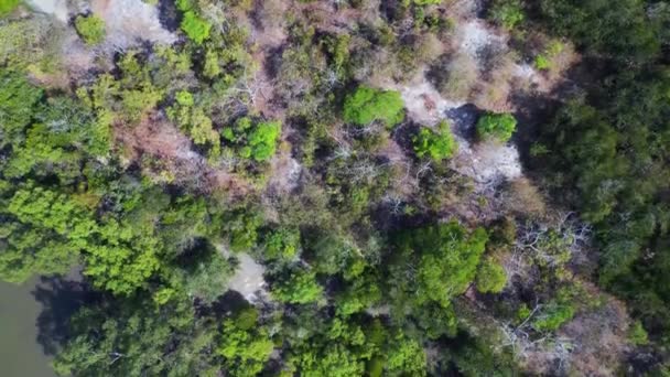 Drone Filmó Imágenes Desde Arriba Paisajes Tranquilos Mostrando Lago Tranquilo — Vídeo de stock